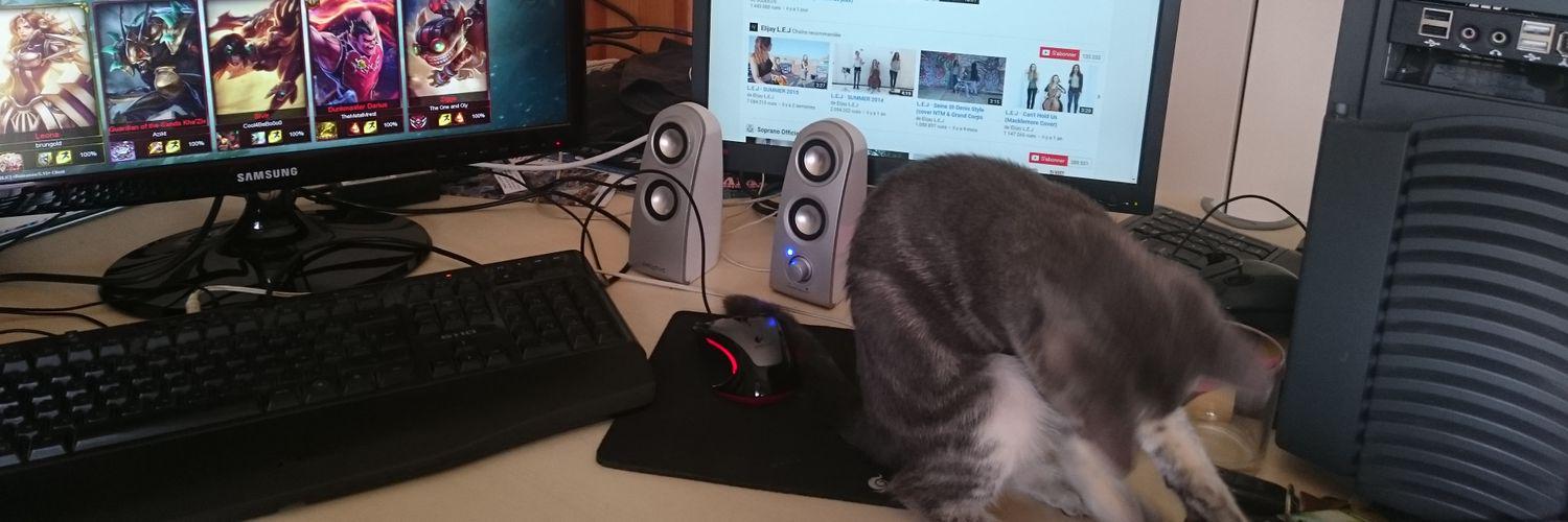Gaedwyn's profile banner image