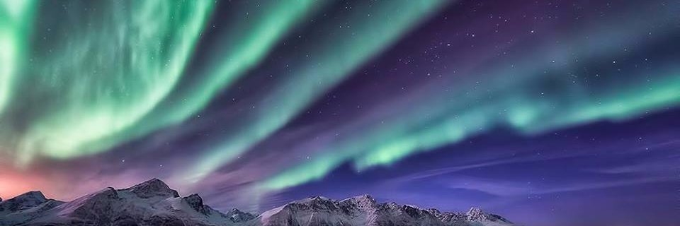 Jano1337's profile banner image