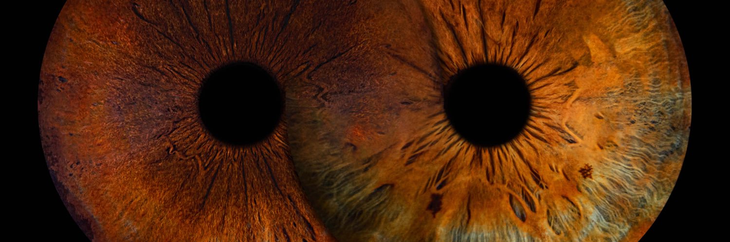 minierappi's profile banner image