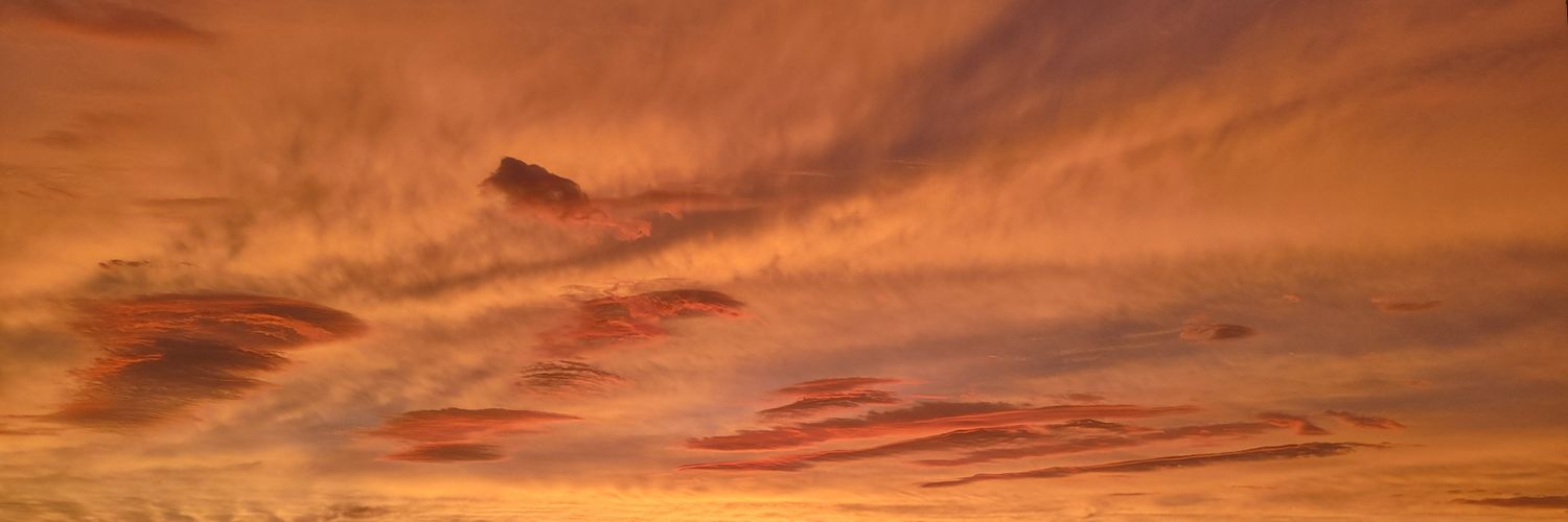 BelenDocimo's profile banner image