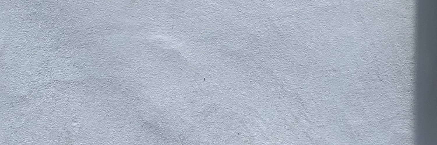 fersukin's profile banner image