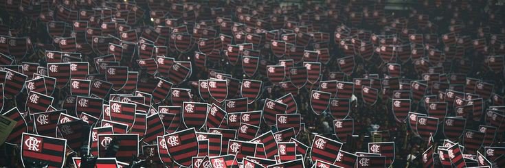 WRibeiro_8's profile banner image