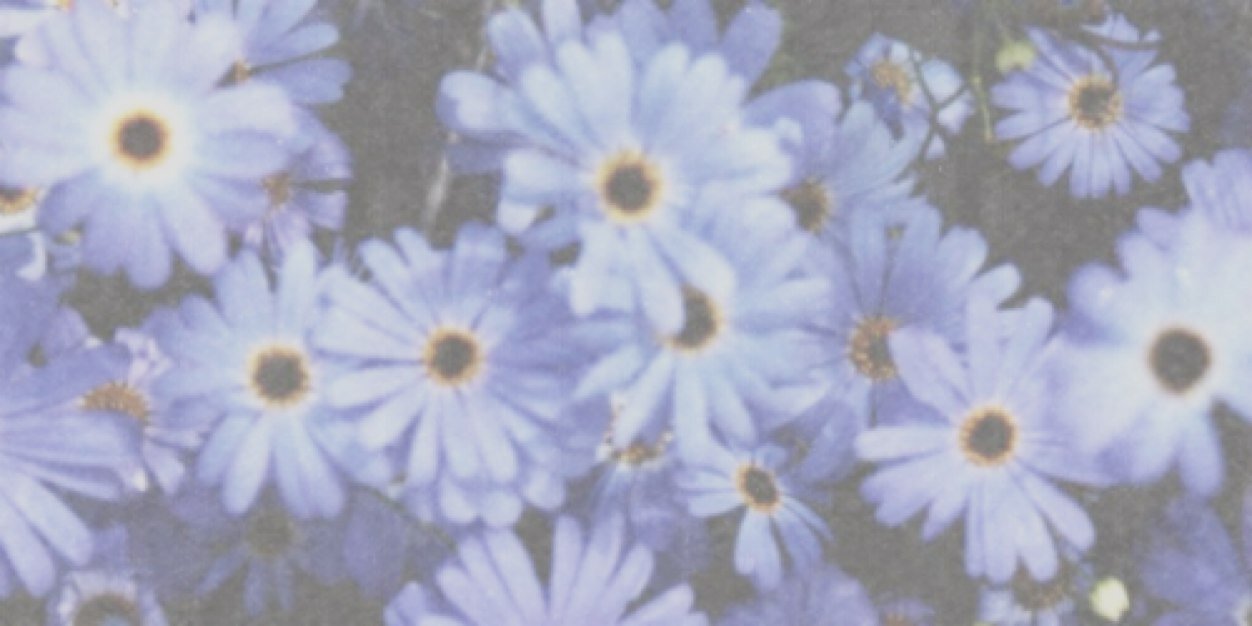 Iphxne_'s profile banner image