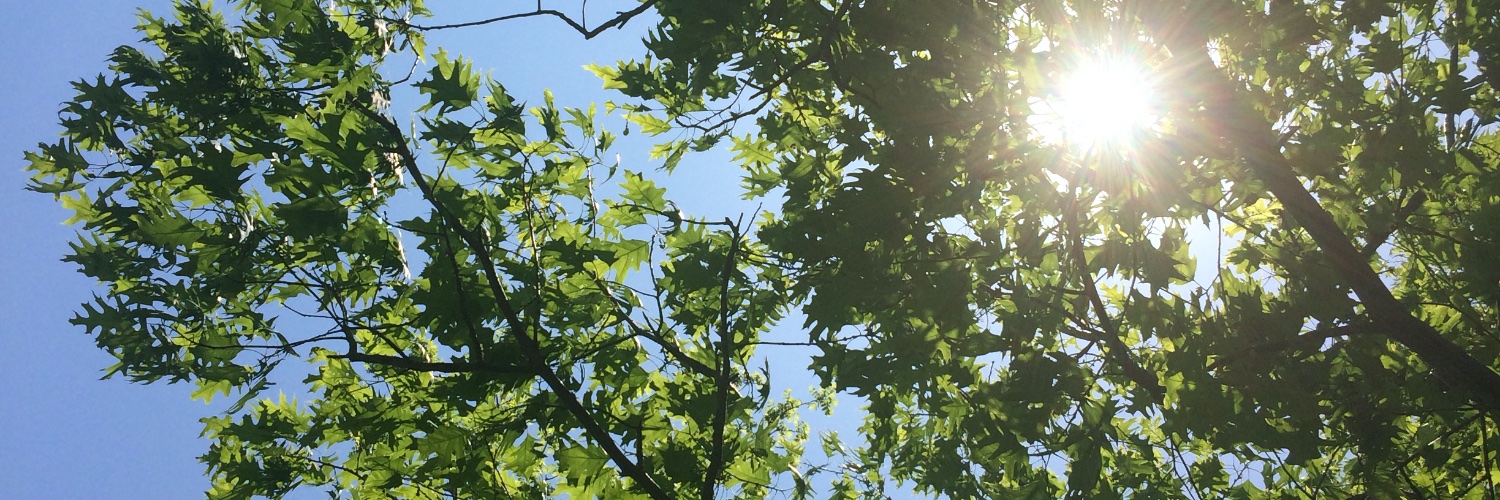 MendySamp's profile banner image