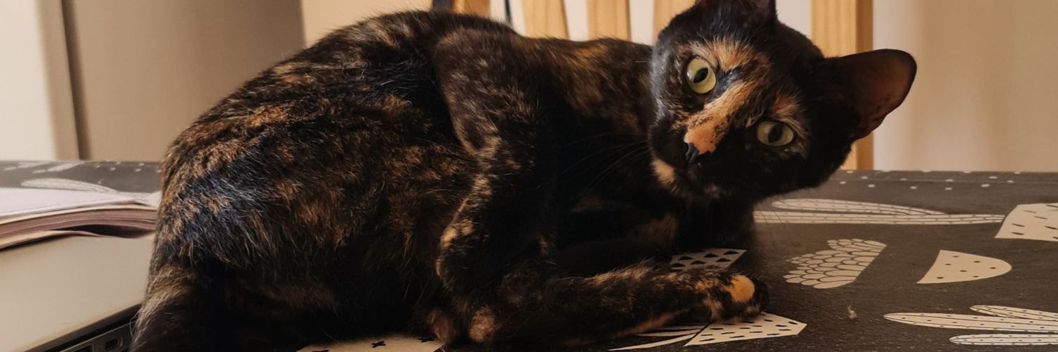 sofybett_'s profile banner image