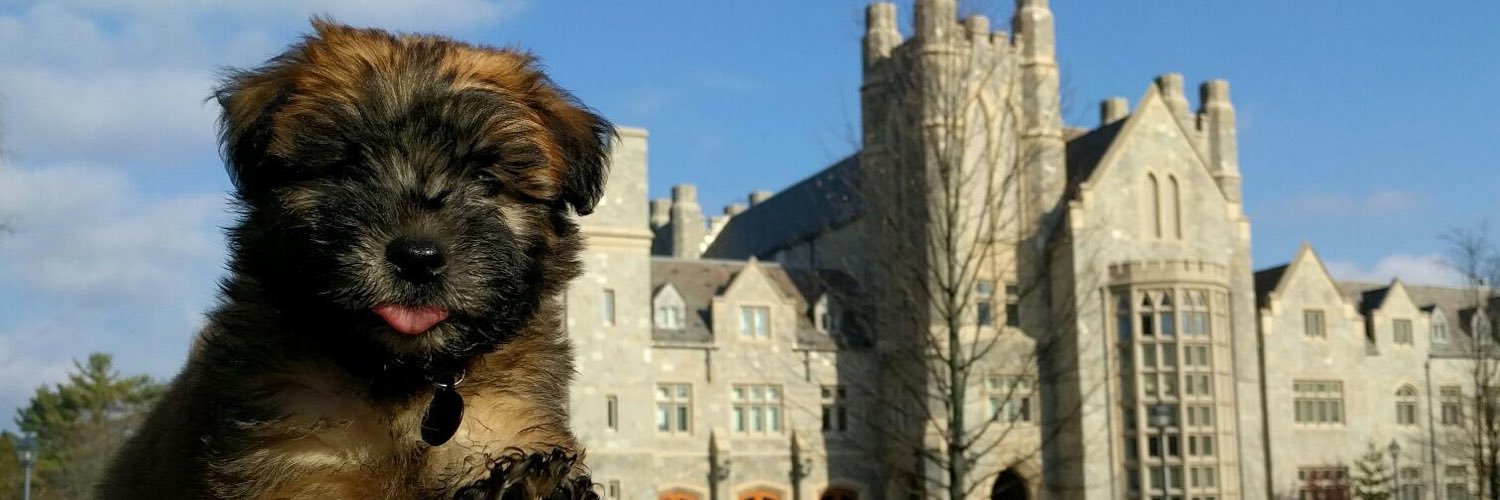 carapassaro's profile banner image