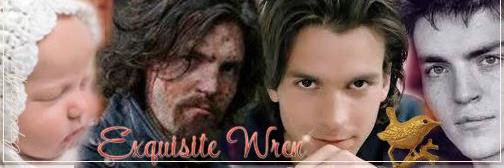 Exquisite_Wren's profile banner image