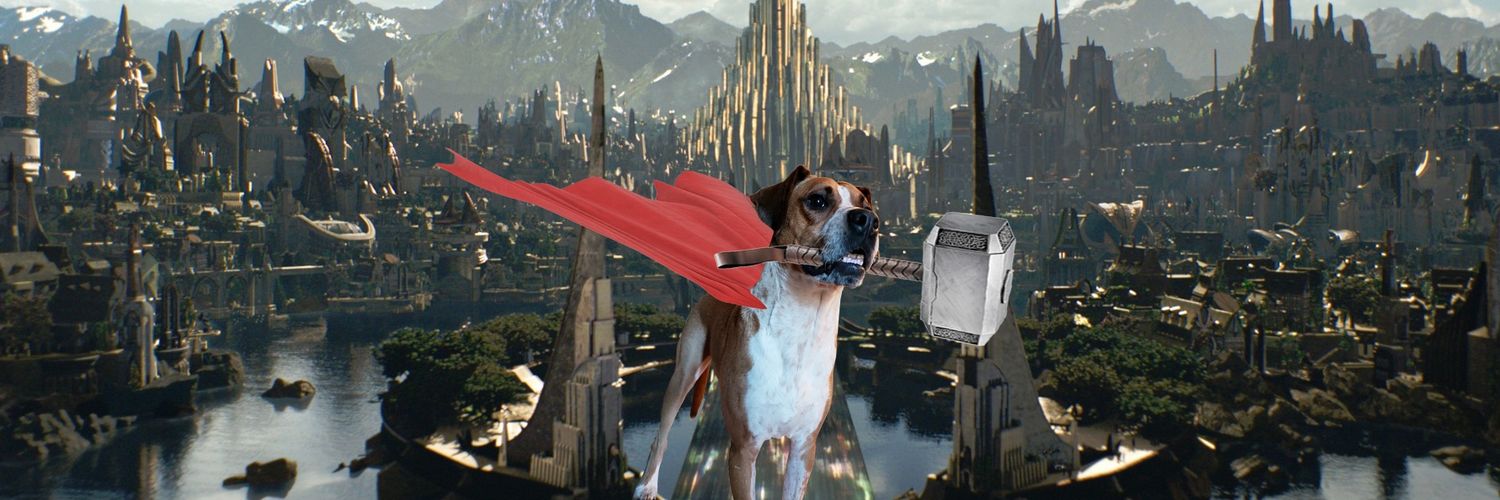 AFutterererer's profile banner image