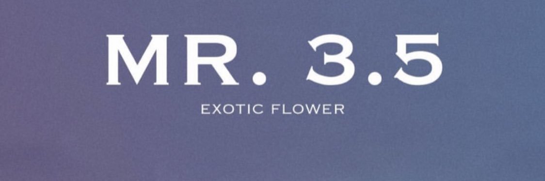 Vp_Kris's profile banner image