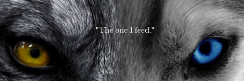 TheReal_Bturner's profile banner image