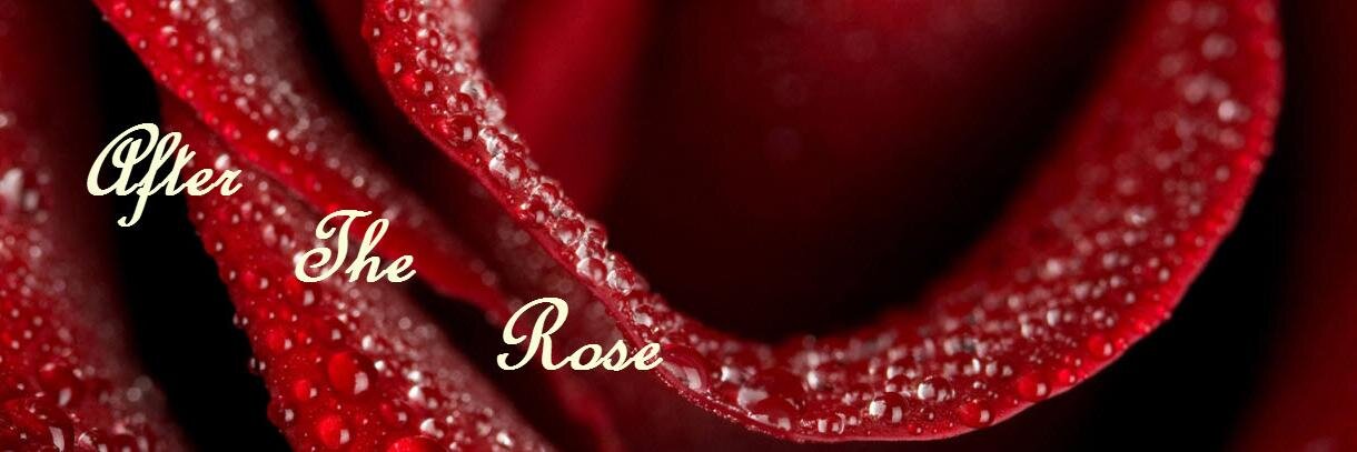 AftertheRose's profile banner image