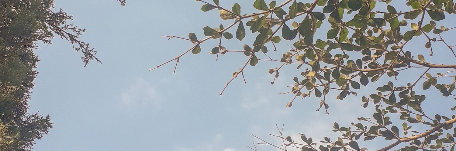 shimagiovani's profile banner image