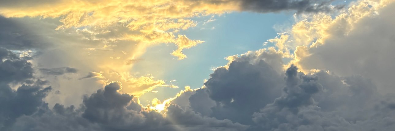 marijojuarez's profile banner image