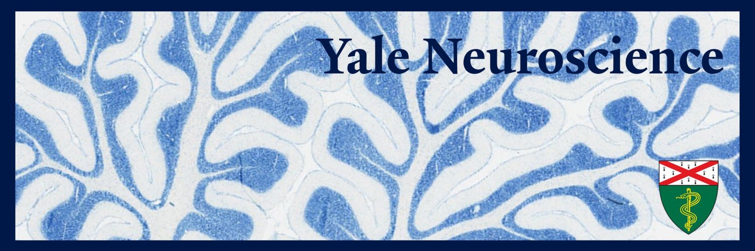 Yale Neuroscience's banner