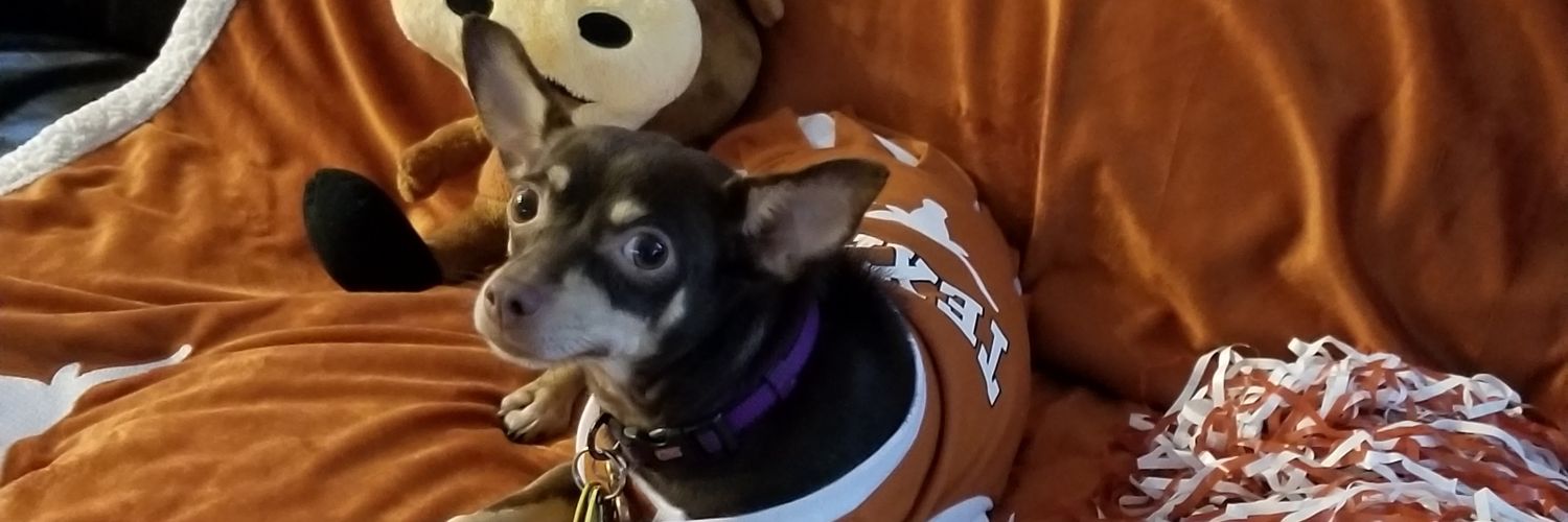 TexMexLaura🤘 banner