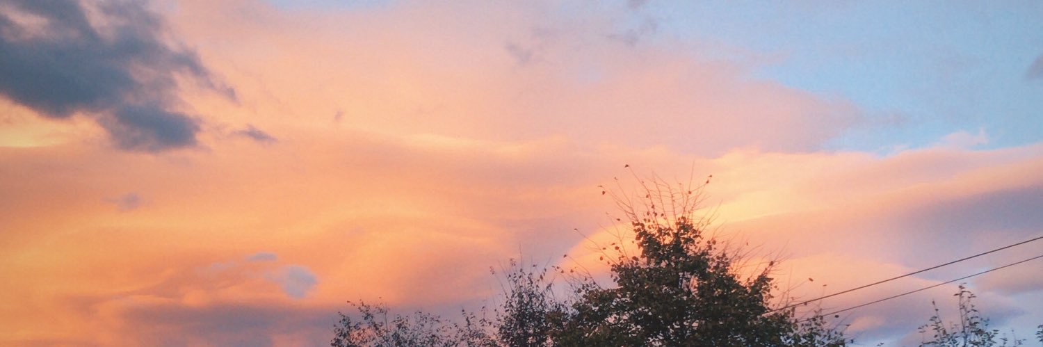 thezala_'s profile banner image