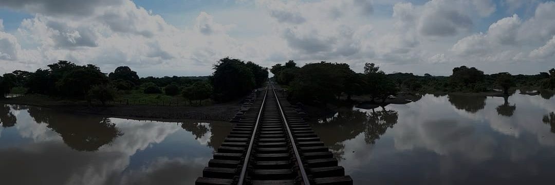 dfleonmo's profile banner image