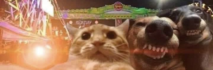 jujurd_'s profile banner image
