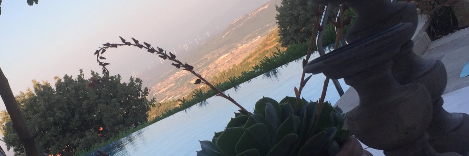 feraysaracoglu's profile banner image