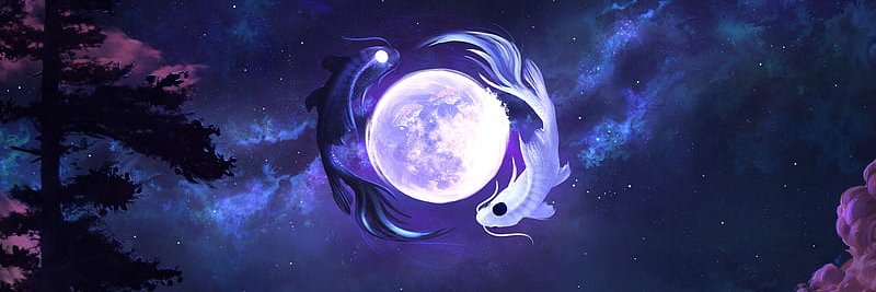 Zyrefy's profile banner image