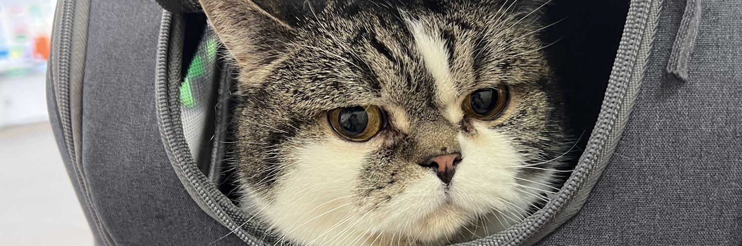 xRUAx's profile banner image