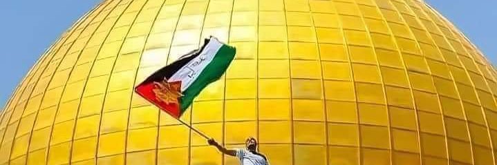 hadyshaker1's profile banner image
