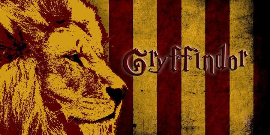 FB_Lions's profile banner image