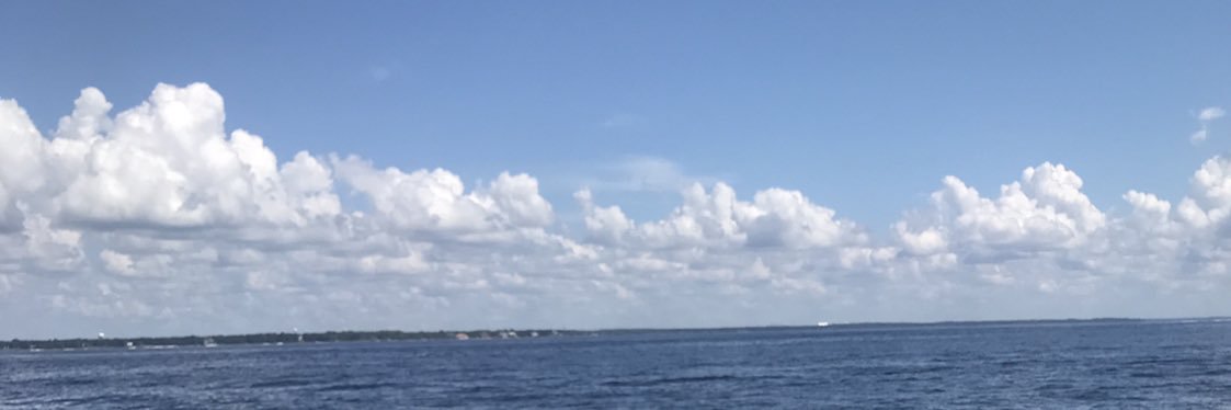 briebrowntmm's profile banner image