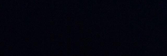 loris banner