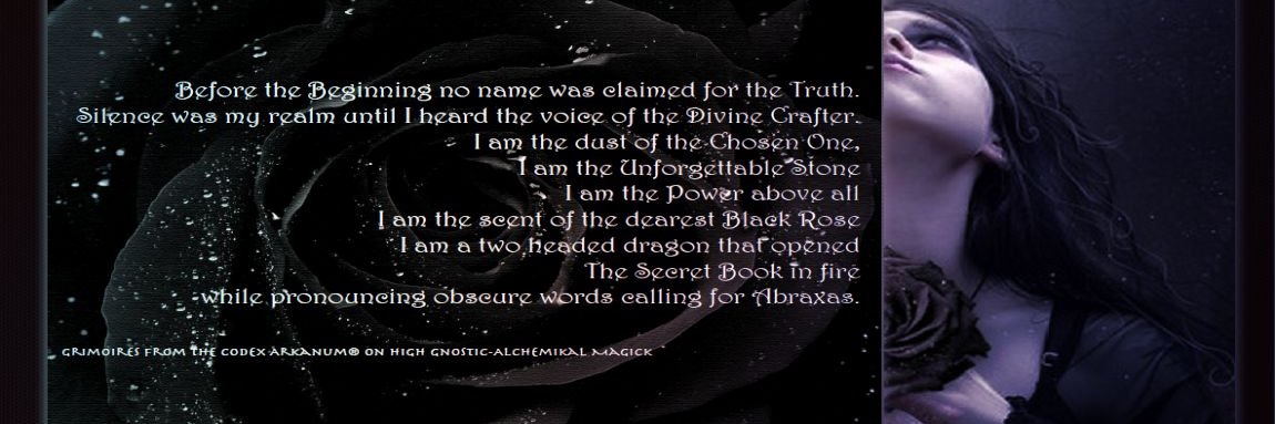 BlackRoseCodex's profile banner image