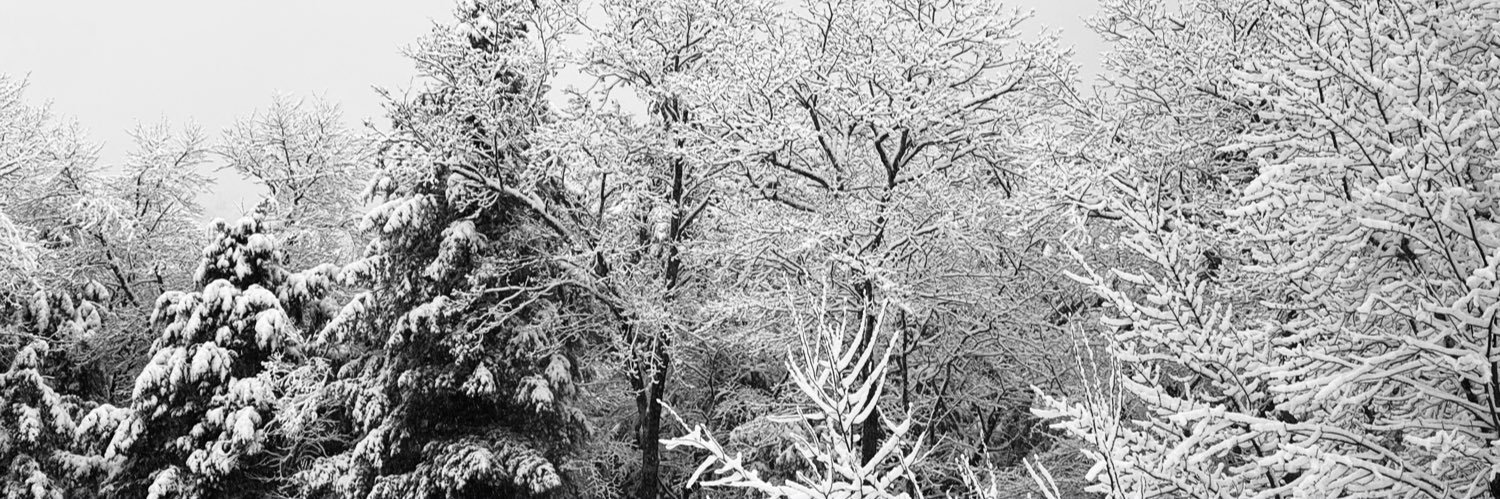 De Facto Monk banner