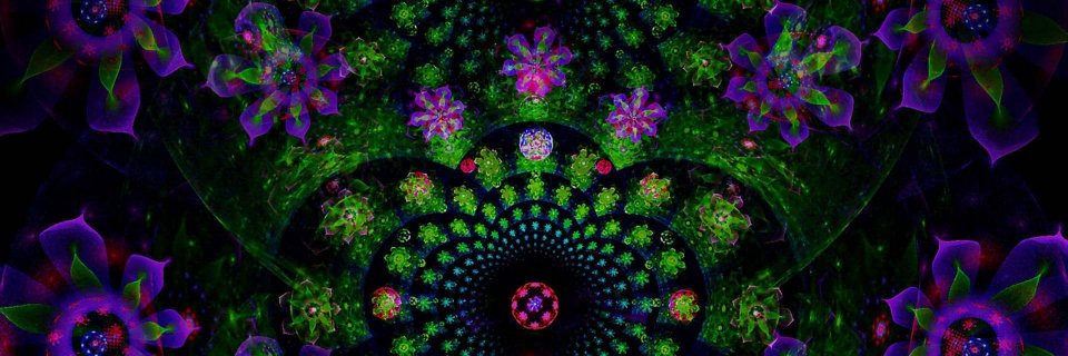 shamantrip's profile banner image