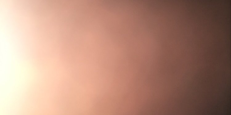 Spiderpig22's profile banner image