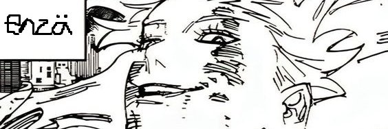 Enza banner