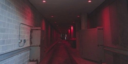 paradiselaryy's profile banner image