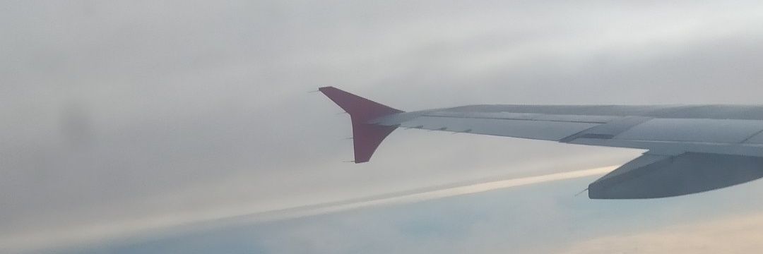 Younglarrybrand banner