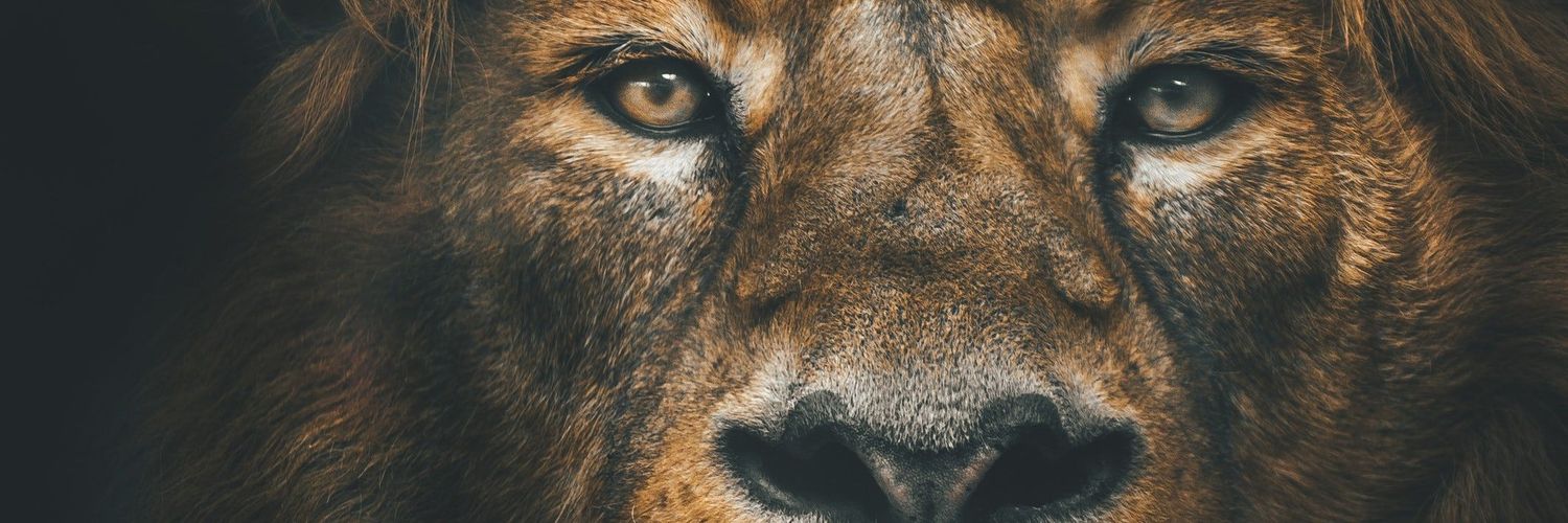 Jure508's profile banner image