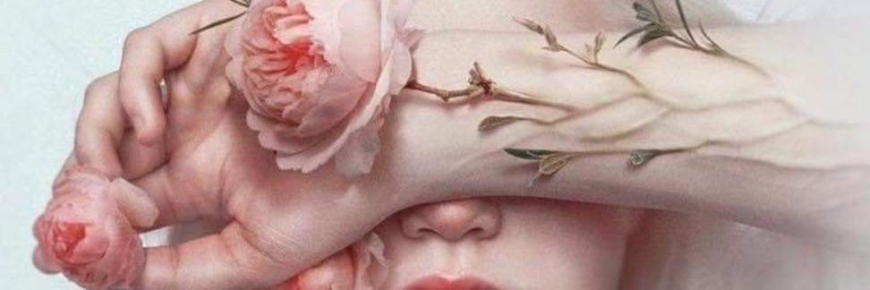 Sue_AnRo's profile banner image