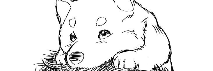 Celo banner