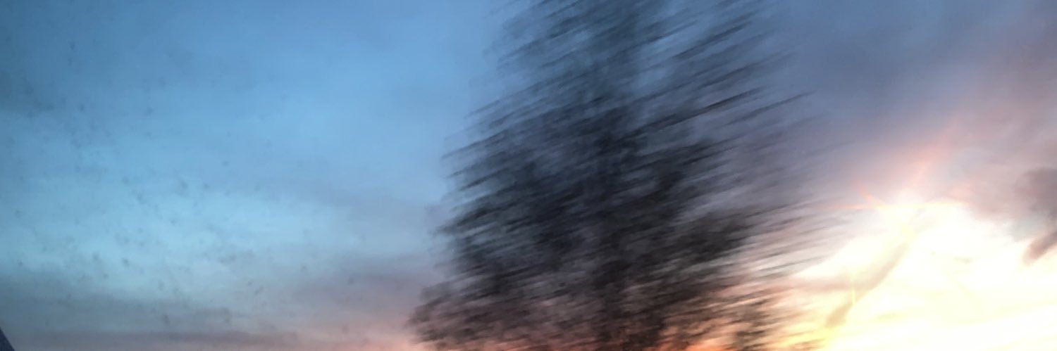 annaquenan's profile banner image
