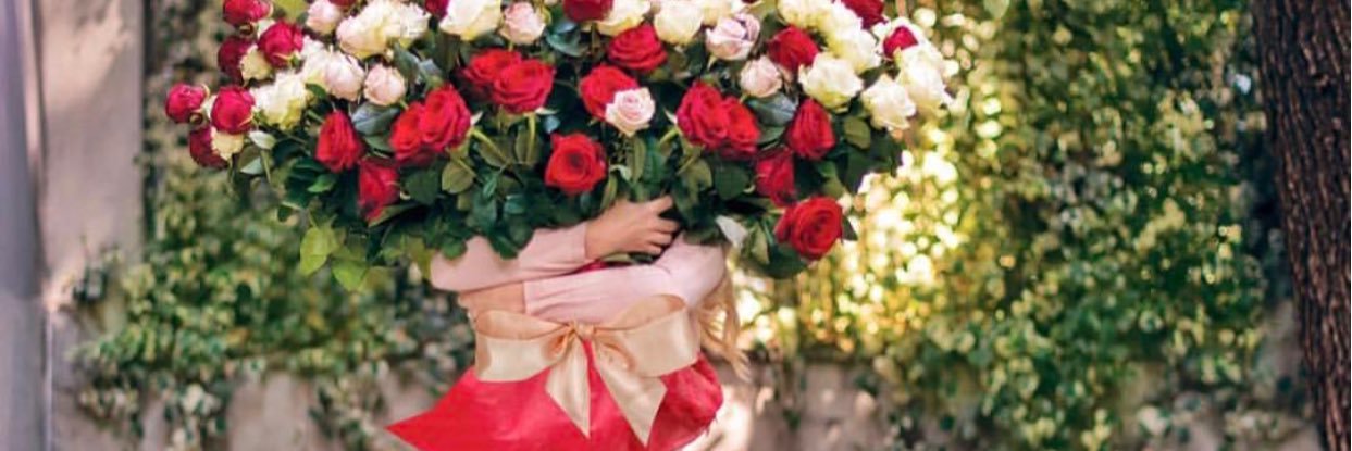 THE WEDDING DIARY banner