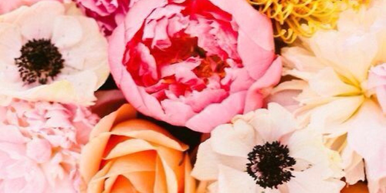 Alexa Doyle banner