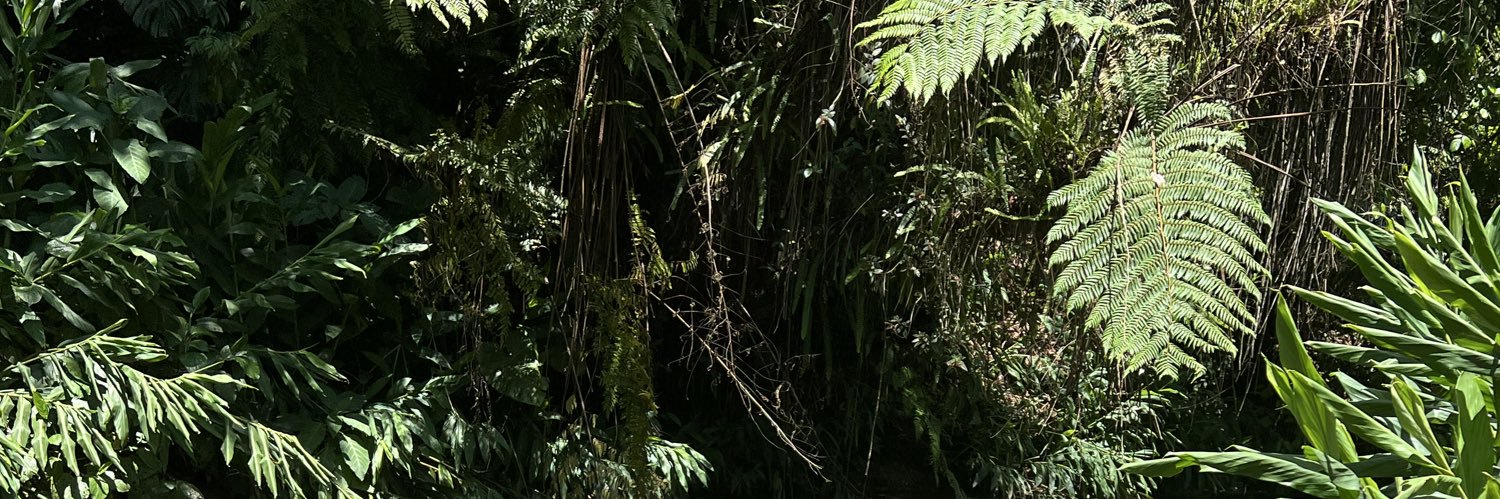 FerlinMafer's profile banner image