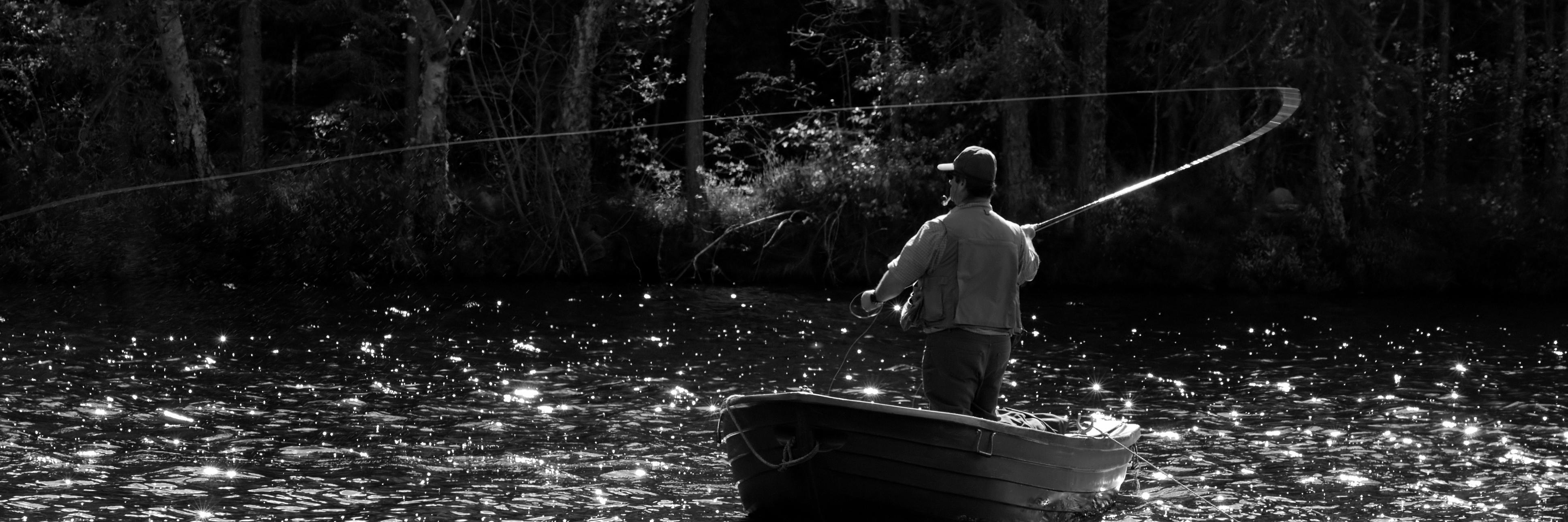 Fish_Pimp_Co's profile banner image