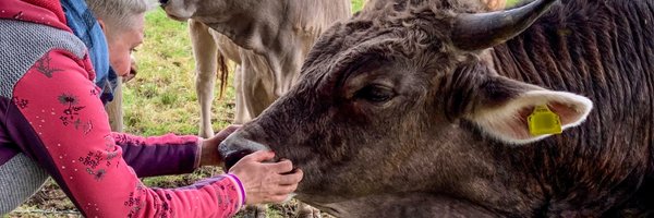 altreflexion Profile Banner