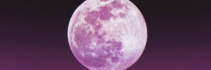 devasye's profile banner image