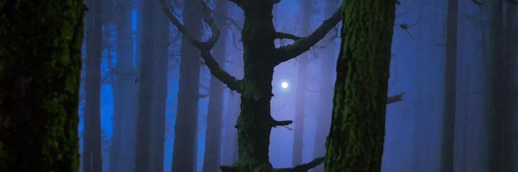 aqiriasm's profile banner image