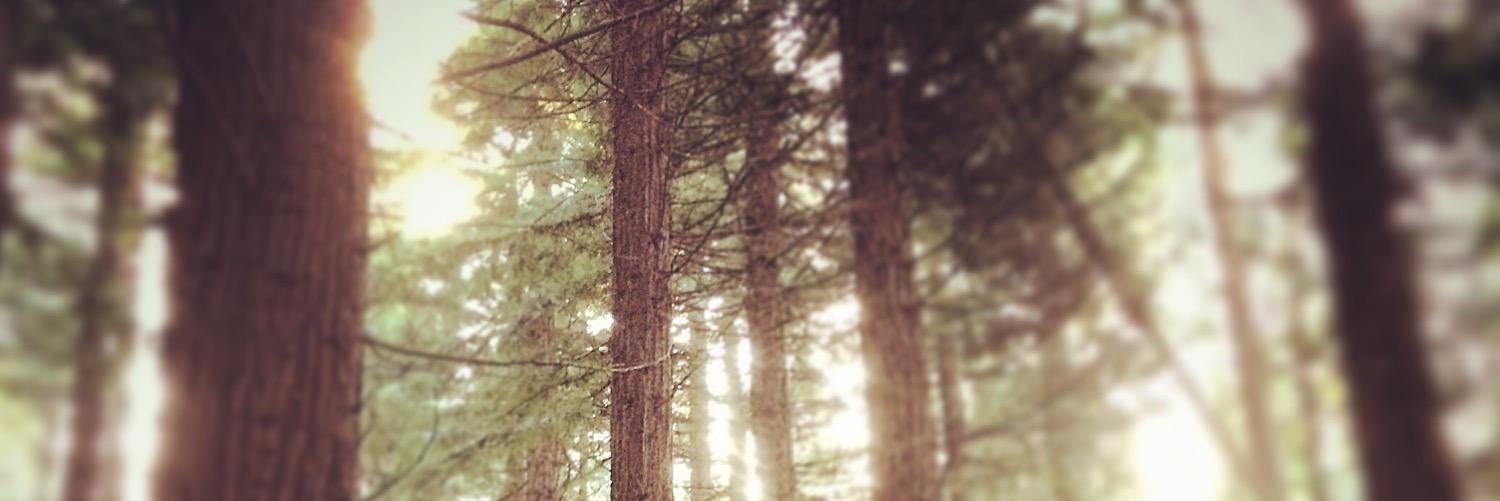 Warm_Wobble's profile banner image