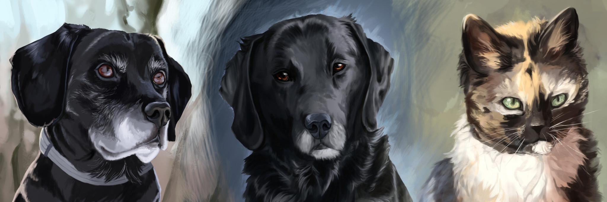 Lauraacan's profile banner image