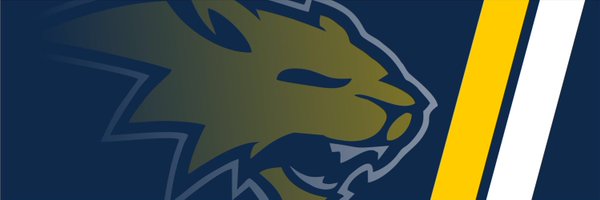 lancefuhrer Profile Banner